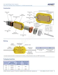 C410C104K5R5TA91707200 Datasheet Page 10