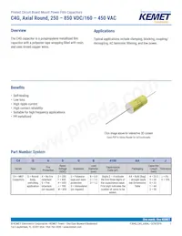 C4GAFUC4500ZA1J Datasheet Copertura