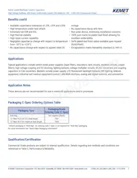 C657C103JGG5TA Datasheet Page 2