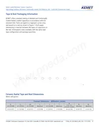 C657C103JGG5TA Datasheet Page 19