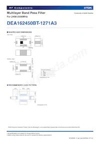 DEA162450BT-1271A3 Datasheet Page 2