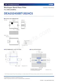 DEA252450BT-2024C5 Datasheet Page 2