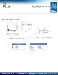 ECS-3951M-320-BN Datasheet Page 2