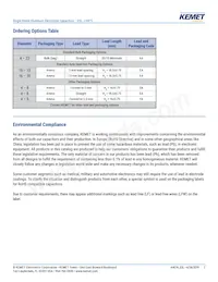 ESL107M035AE3AA Datasheet Page 2