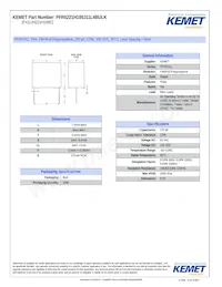 PFR5221H100J11L4BULK Datasheet Cover