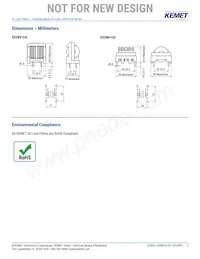 SS28V-K20115-CH Datasheet Pagina 2