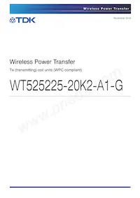 WT-525225-20K2-A1-G Cover