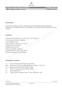 B72500E2170S170 Datasheet Page 2