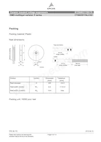 B72500E2170S170 Datenblatt Seite 9