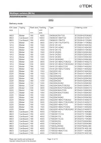 B72510T2170K062 Datasheet Page 12