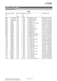 B72510T2170K062 Datasheet Page 13