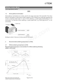 B72762A2170S160 Datasheet Page 20