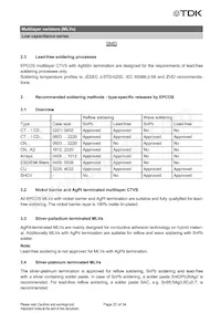 B72762A2170S160 Datasheet Page 22