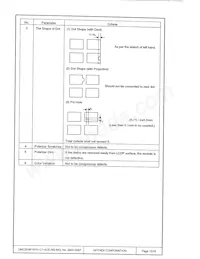 DMC-20481NYU-LY-ACE-BG Datasheet Page 13