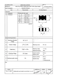 EZJ-ZSV270CAK Datasheet Pagina 2