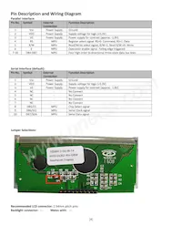 NHD-0420Z-RN-GBW Datasheet Page 4