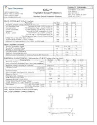 TVB300SB-L Datasheet Page 2