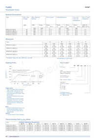 PFMT.013.250.A.2 Datasheet Page 2