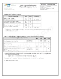 RTP200HR010SA Datasheet Page 2