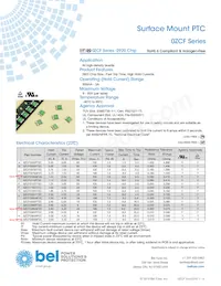 0ZCF0260FF2C Datenblatt Cover