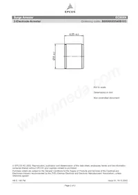 B88069X0540B103 Datasheet Pagina 2