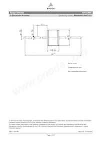 B88069X1360C103 Datasheet Pagina 2