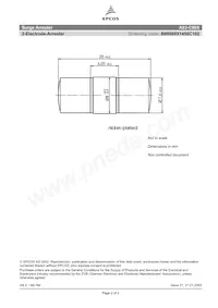 B88069X1450C102 Datasheet Pagina 2