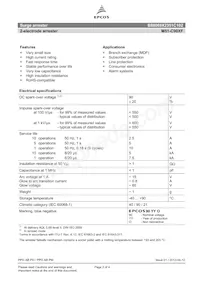 B88069X2351C102 Datasheet Page 2