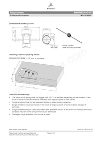 B88069X2351C102 Datasheet Page 3