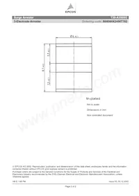 B88069X2450T702 Datasheet Page 2