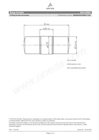 B88069X2860C102 Datasheet Pagina 2