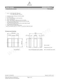 B88069X3020C253 Datasheet Pagina 3