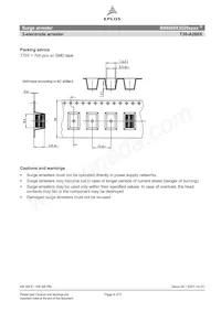 B88069X3020C253 Datasheet Page 4