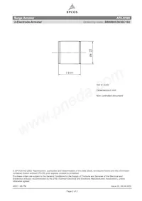 B88069X3830C102 Datasheet Pagina 2