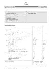 B88069X3930T103 Datasheet Pagina 2