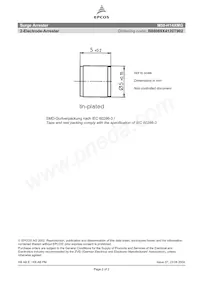 B88069X4120T902 Datenblatt Seite 2