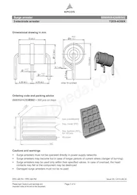 B88069X4260B502 Datasheet Page 3