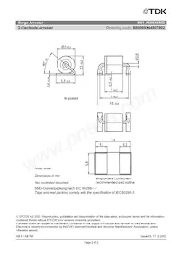 B88069X4480T902 Datasheet Page 2