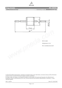 B88069X4570T103 Datasheet Page 2