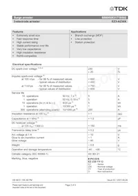 B88069X5171B502 Datasheet Page 2