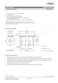 B88069X5460B502 Datasheet Page 3