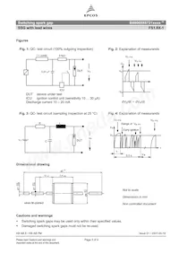 B88069X6721T502 Datasheet Pagina 3