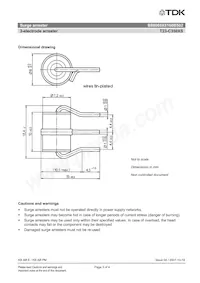 B88069X8160B502 Datasheet Page 3