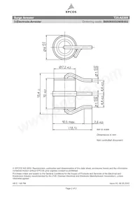 B88069X9290B502 Datasheet Page 2