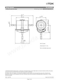 B88069X9680B252 Datasheet Pagina 4