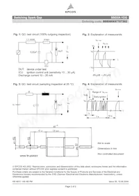 B88069X9770T502 Datasheet Page 2