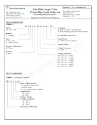 GTCR38-900M-Q10-FS Datasheet Pagina 2