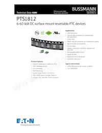 PTS18128V110 Cover