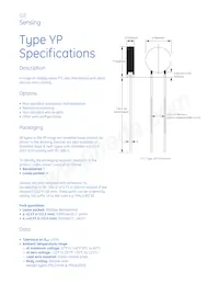 YPCL0010T Datasheet Page 2