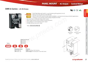 DIP2415R Datasheet Pagina 21